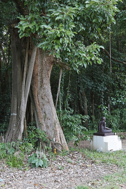 Wat Phu Khao Kaew-013